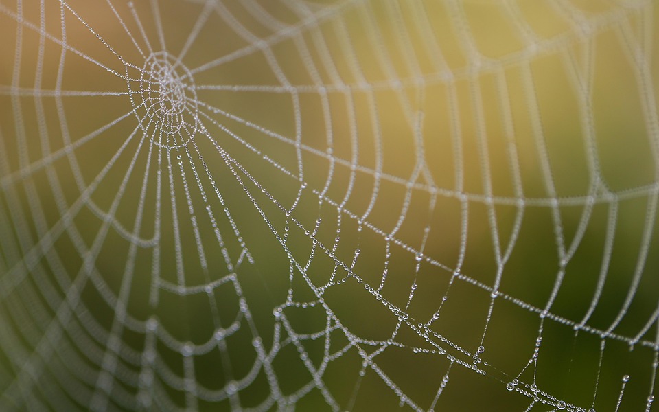 Choosing the Best Web Hosting for Travel Blogs: A Comprehensive Guide for 2025