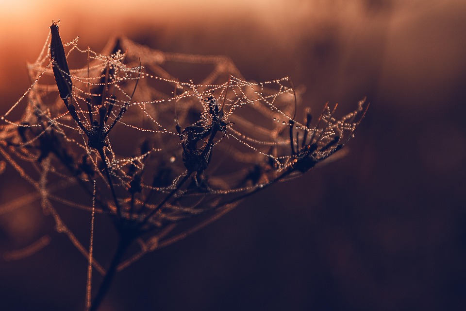 5 Hosting Solutions Perfect for Adventure Booking Platforms and Tourism Startups