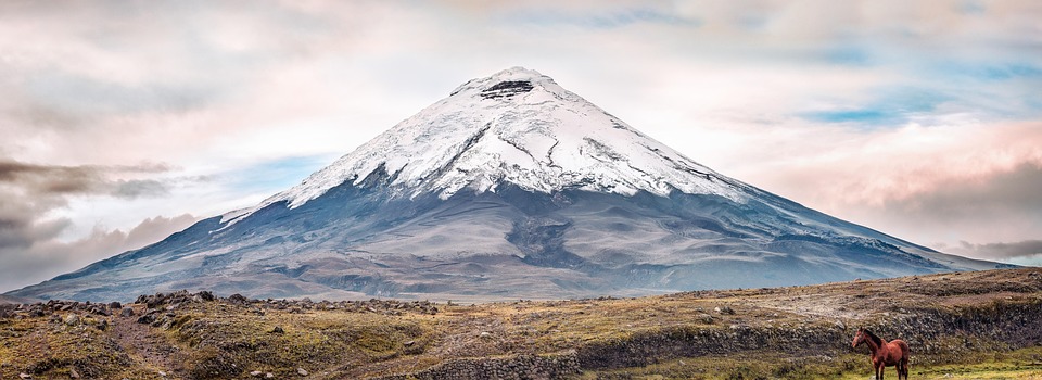 Ecuador Travel Tips: How to Explore Like a Local and Avoid Tourist Traps