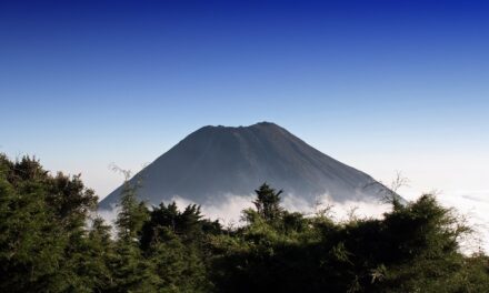 El Salvador Travel Guide: Expert Tips to Explore Central America’s Best-Kept Secret