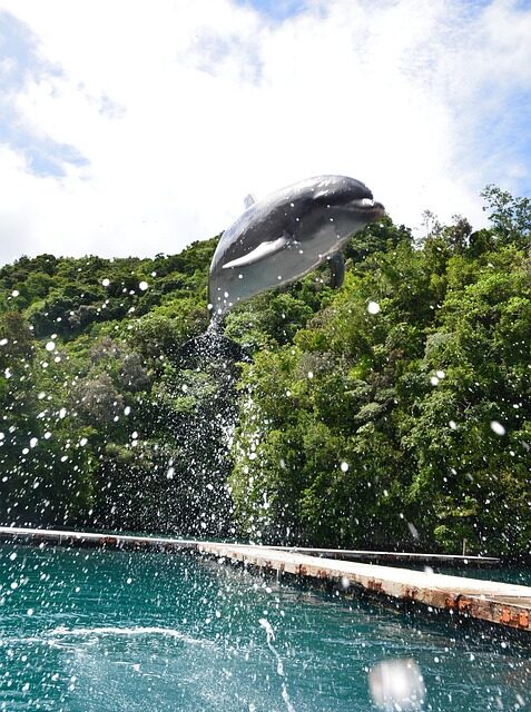Exploring Palau: Expert Travel Tips for an Unforgettable Journey