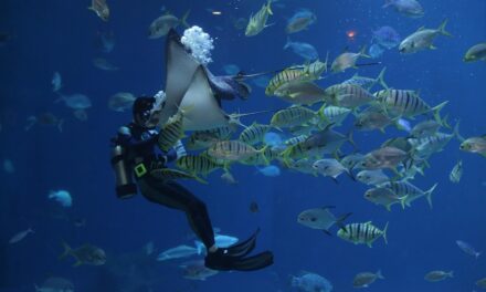 Legends of Adventure: Remarkable Travel Stories of Bold Explorers