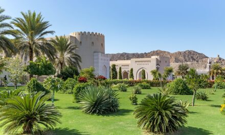 The Enchanting Side of Oman: Top Places to Visit and Insider Travel Advice