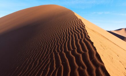 Unlock the Magic of Namibia: Best Destinations and Insider Tips for Adventurers