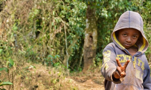 Unveiling Cameroon’s Hidden Treasures: A Journey Beyond the Usual Tourist Spots