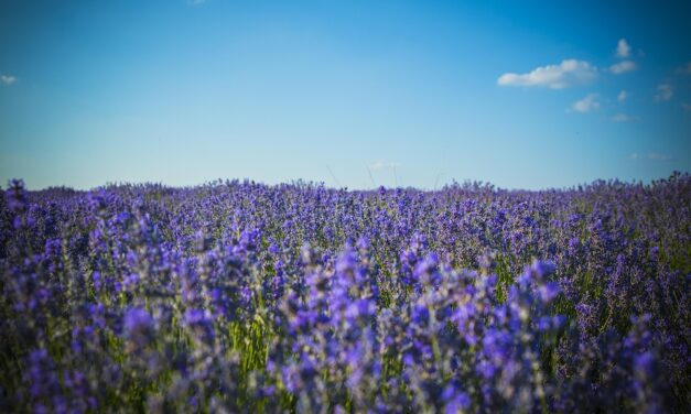 Why Moldova Should Be Your Next Adventure: Underrated Beauty and Expert Travel Tips