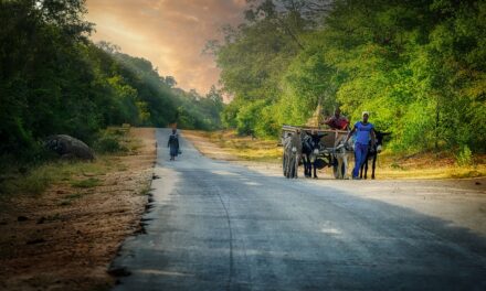 Beyond Victoria Falls: Explore the Hidden Wonders of Zimbabwe