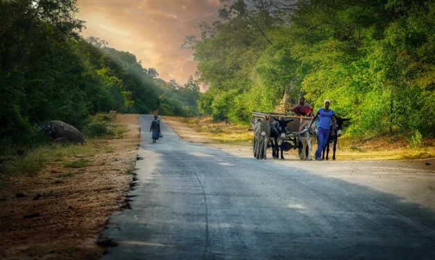 Beyond Victoria Falls: Explore the Hidden Wonders of Zimbabwe