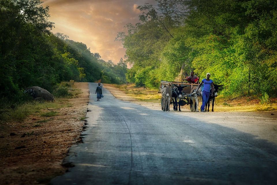 Beyond Victoria Falls: Explore the Hidden Wonders of Zimbabwe