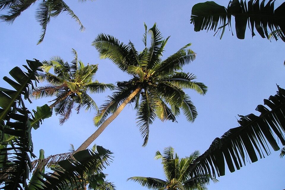 Beyond the Beaches: Discover Samoa’s Best-Kept Travel Secrets