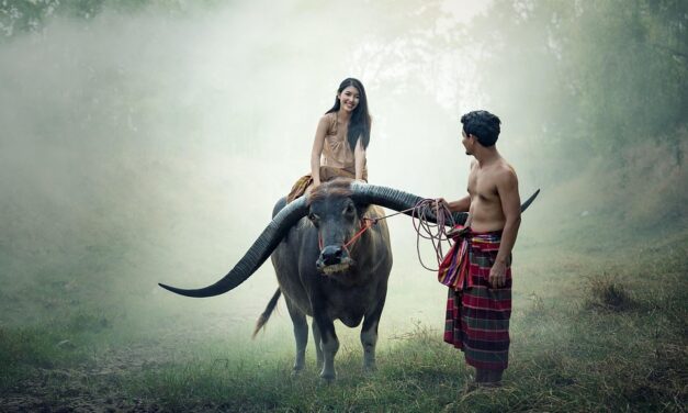 Cambodia’s Hidden Treasures: Unique Places You Need to See