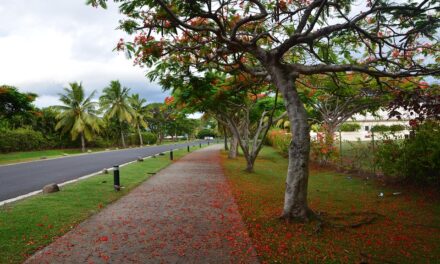 Discover Fiji Beyond the Beaches: Unique Adventures and Secret Destinations