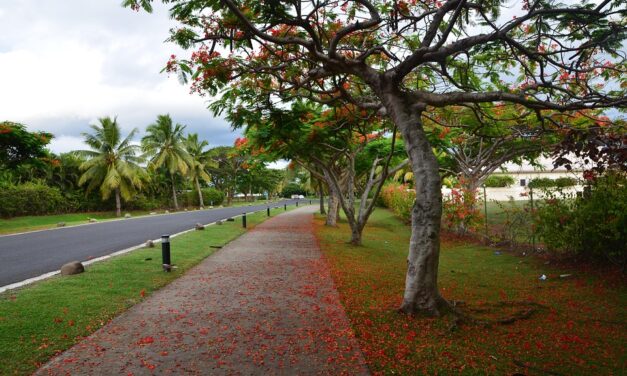 Discover Fiji Beyond the Beaches: Unique Adventures and Secret Destinations