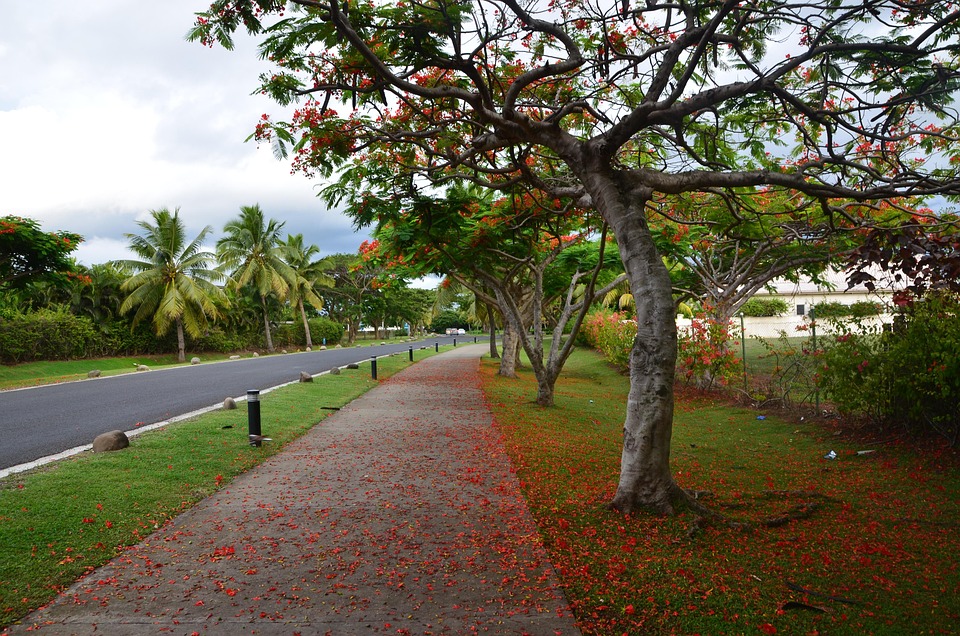 Discover Fiji Beyond the Beaches: Unique Adventures and Secret Destinations