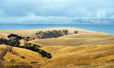 Expert Travel Tips for Exploring Australia’s Most Breathtaking Destinations