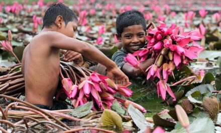 Exploring Bangladesh: Travel Secrets and Underrated Destinations You Need to Know