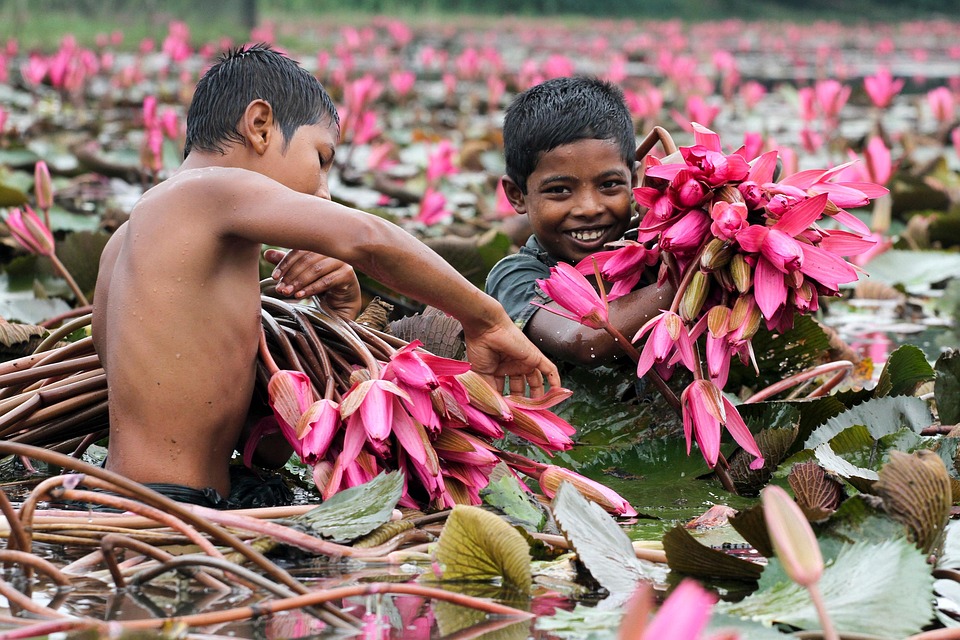 Exploring Bangladesh: Travel Secrets and Underrated Destinations You Need to Know