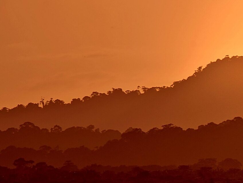 Exploring the Untamed Beauty of Guyana: Waterfalls, Rainforests, and Unique Wildlife