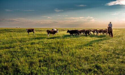Mongolia’s Best-Kept Secrets: Off-the-Beaten-Path Destinations You Need to See
