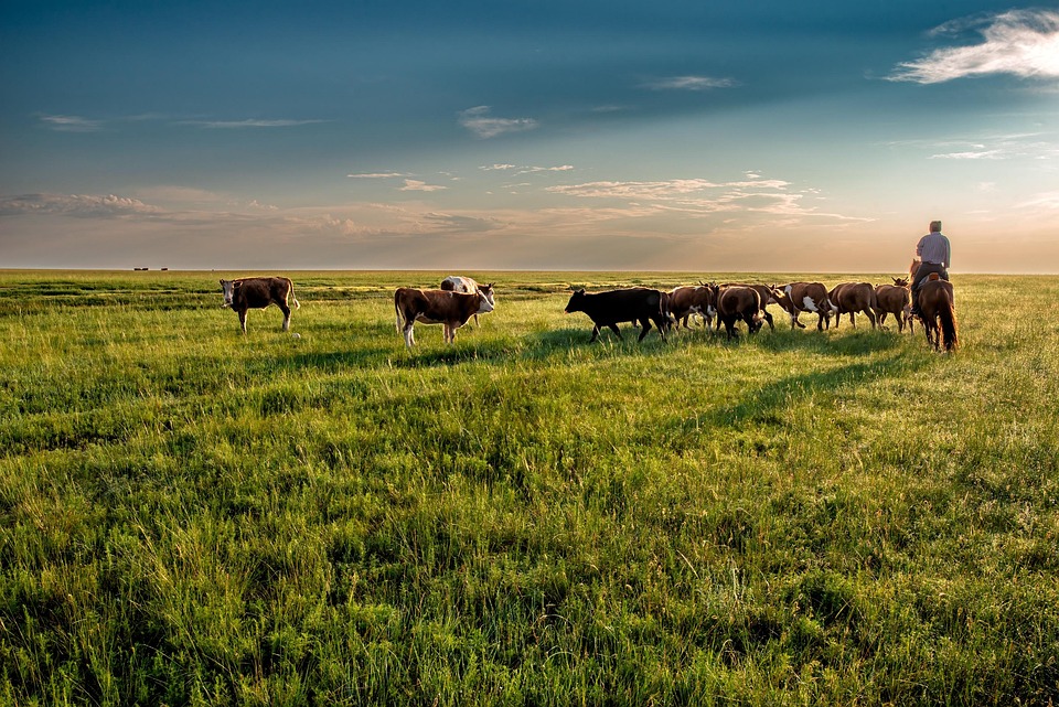 Mongolia’s Best-Kept Secrets: Off-the-Beaten-Path Destinations You Need to See
