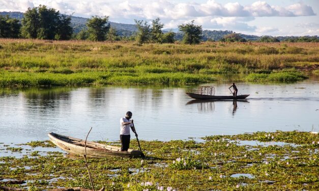 Safari Bliss in Zambia: Expert Travel Tips for the Ultimate Experience