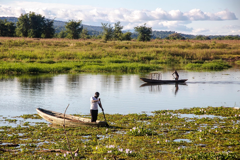 Safari Bliss in Zambia: Expert Travel Tips for the Ultimate Experience