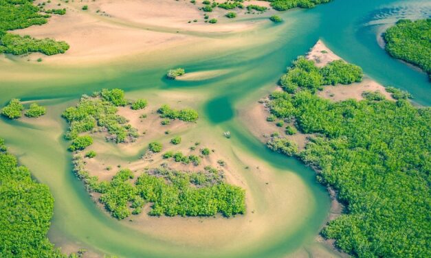 The Best Things to Do in Senegal: From Vibrant Cultures to Pristine Beaches