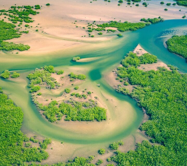 The Best Things to Do in Senegal: From Vibrant Cultures to Pristine Beaches