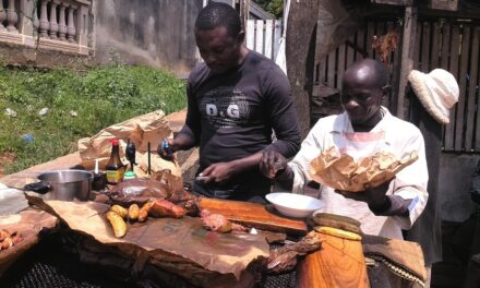 Top 10 Fascinating Facts About Cameroon That Will Inspire Your Next Adventure