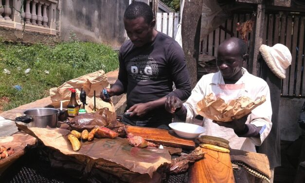 Top 10 Fascinating Facts About Cameroon That Will Inspire Your Next Adventure
