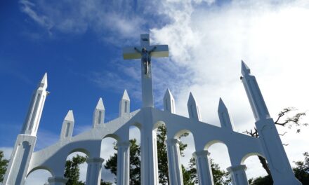 Travel Tips for Dominica: How to Discover the Nature Island Like a Pro