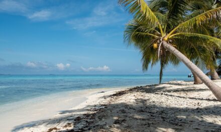 Ultimate Belize Travel Guide: Expert Tips for a Memorable Caribbean Escape