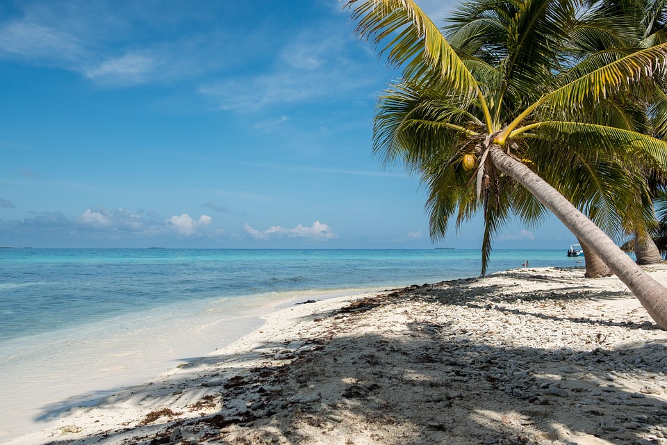 Ultimate Belize Travel Guide: Expert Tips for a Memorable Caribbean Escape