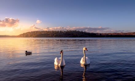 Unveiling the Magic of Sweden: Top Must-Visit Destinations for Every Traveler