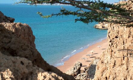 Why Djibouti is Africa’s Best-Kept Secret for Nature Enthusiasts