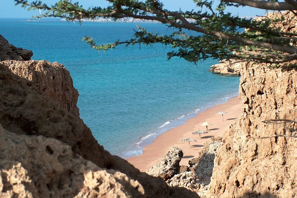 Why Djibouti is Africa’s Best-Kept Secret for Nature Enthusiasts