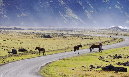 10 Fascinating Facts About Chile That Every Traveler Should Know