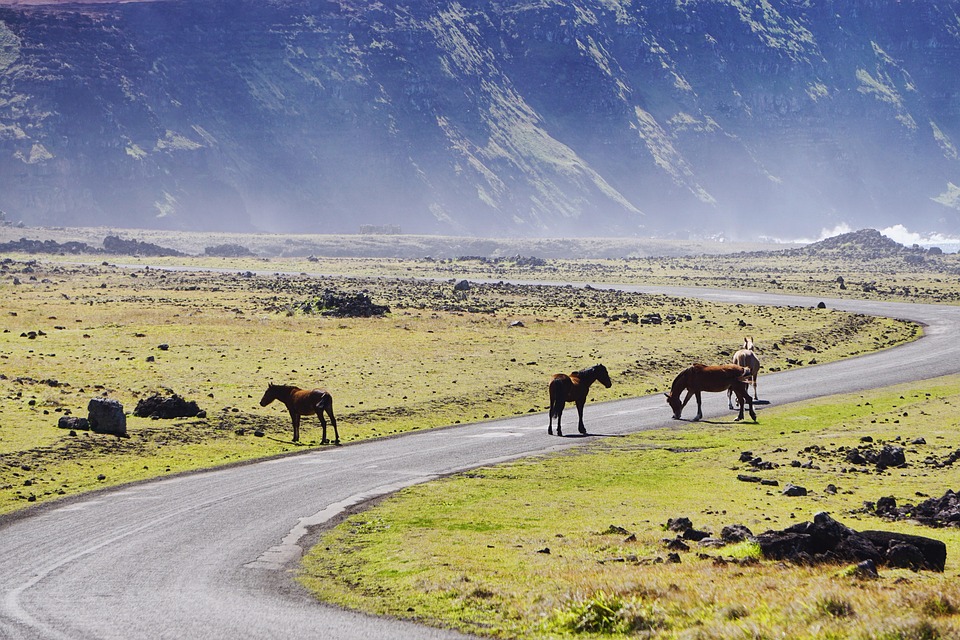 10 Fascinating Facts About Chile That Every Traveler Should Know