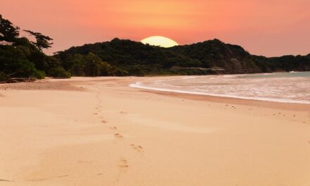 Beyond the Beaches: Fascinating Facts About Costa Rica You Haven’t Heard