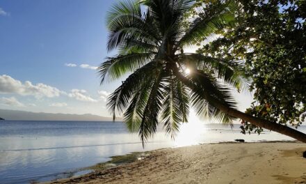 Escape to Fiji: Insider Tips for an Unforgettable Island Getaway