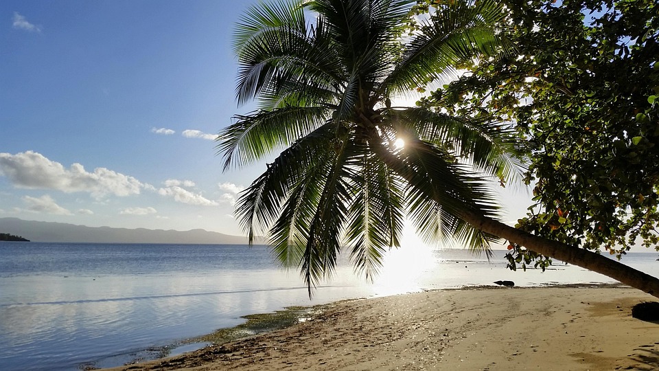 Escape to Fiji: Insider Tips for an Unforgettable Island Getaway