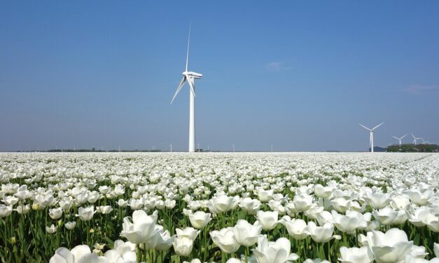 Exploring the Netherlands: Charming Villages, Scenic Canals, and Unexpected Adventures