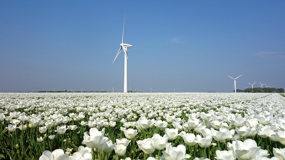 Exploring the Netherlands: Charming Villages, Scenic Canals, and Unexpected Adventures