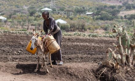 Journey Through Ethiopia: Expert Travel Tips for the Ultimate Adventure