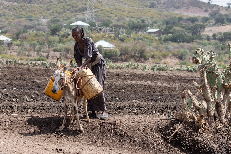 Journey Through Ethiopia: Expert Travel Tips for the Ultimate Adventure