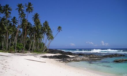 Samoa Like a Local: Essential Travel Tips and Underrated Destinations