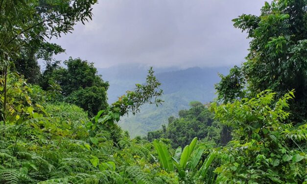 The Ultimate Guide to Planning Your Dream Adventure in Colombia