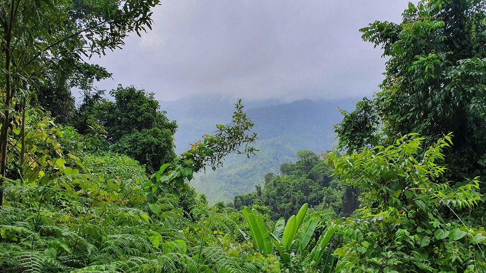 The Ultimate Guide to Planning Your Dream Adventure in Colombia
