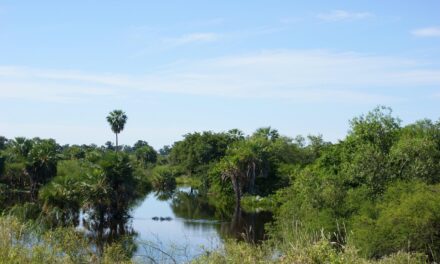 Top Reasons to Visit Paraguay: Natural Beauty, Rich Culture, and Unique Experiences