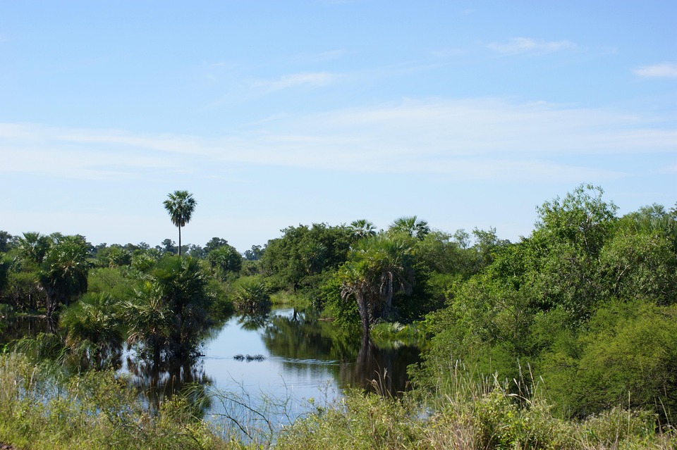 Top Reasons to Visit Paraguay: Natural Beauty, Rich Culture, and Unique Experiences
